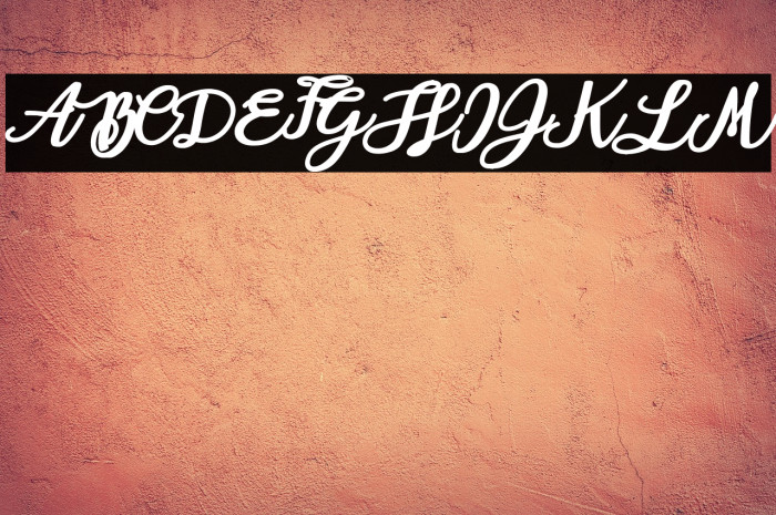 Aloha Octopus Personal Use Regular Example 2