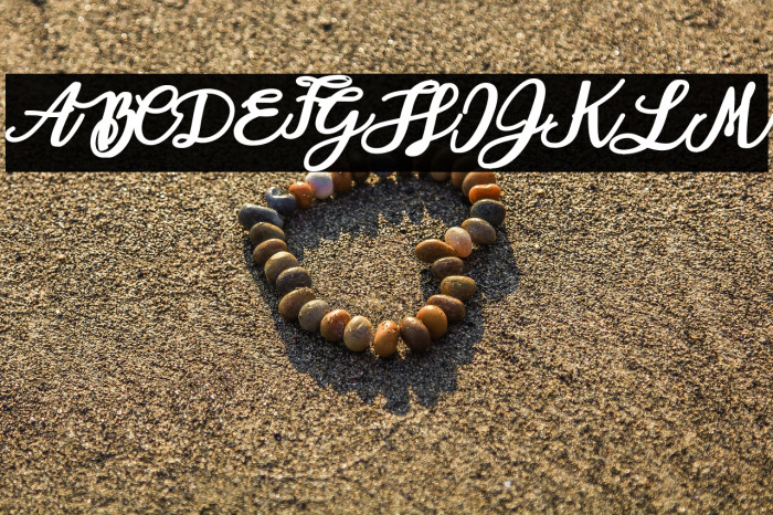 Aloha Octopus Personal Use Regular Example 3