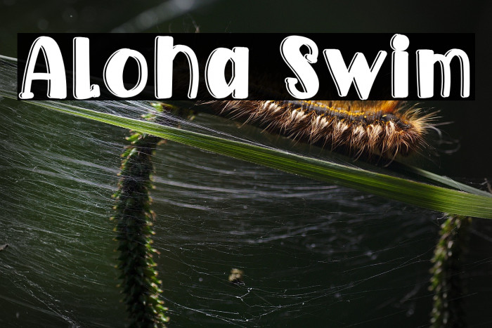 Aloha Swim Example 3