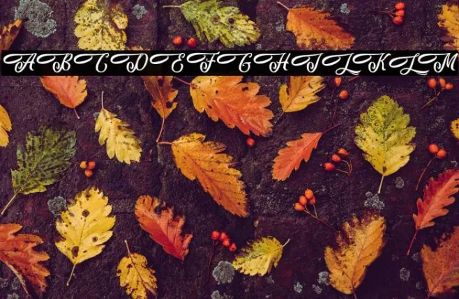 AlohaFriday-PersonalUse Example 1