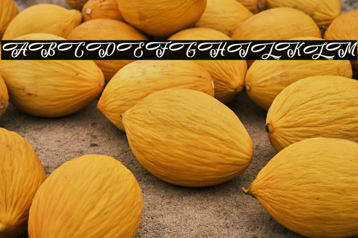 AlohaFriday-PersonalUse Example 2