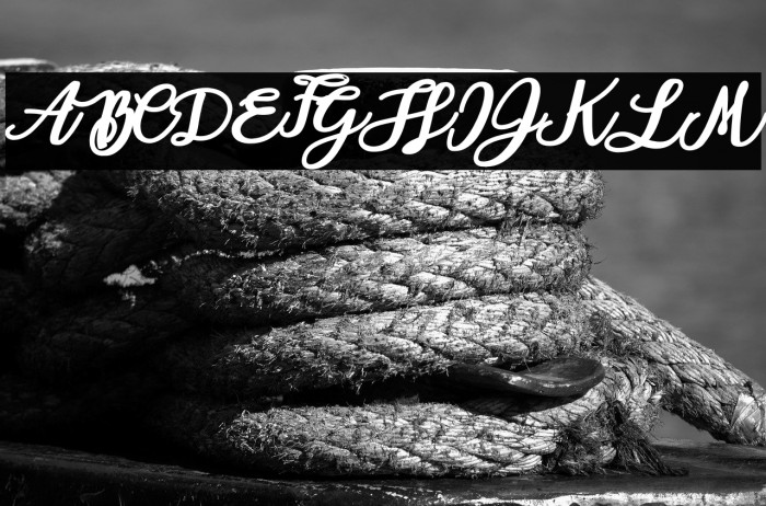 AlohaOctopusPersonalUse-Reg Example 1