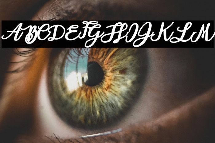 AlohaOctopusPersonalUse-Reg Example 3