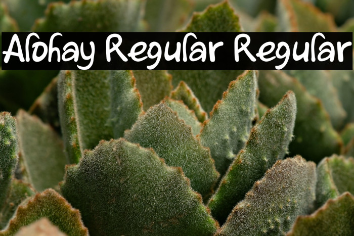 Alohay Regular Regular Example 2