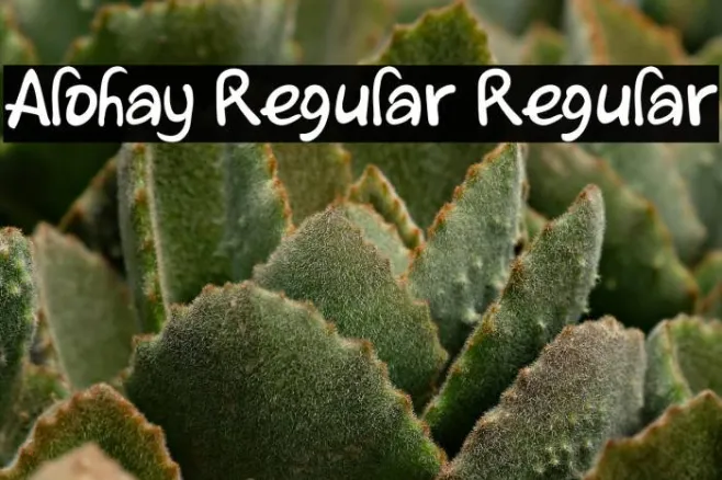 Alohay Regular Regular Example 2