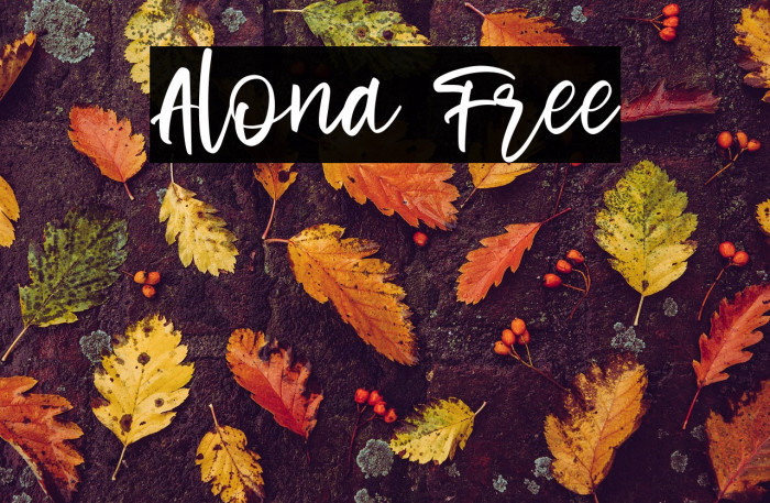 Alona Free Example 3