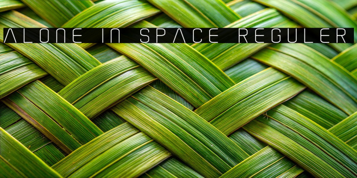 Alone In Space Reguler Example 1