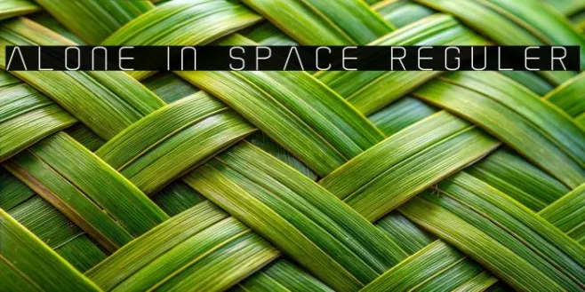 Alone In Space Reguler Example 1