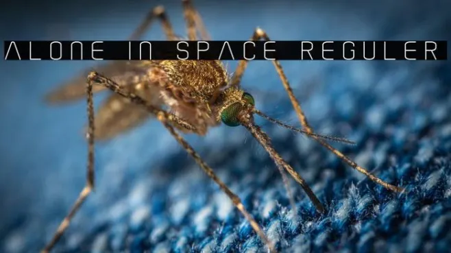Alone In Space Reguler Example 3