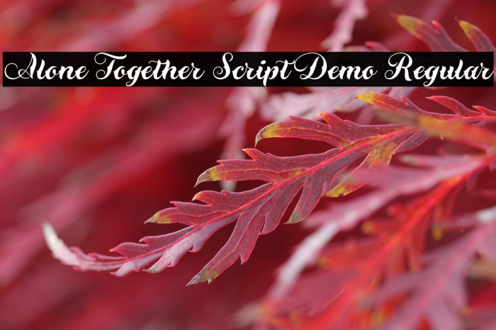 Alone Together Script Demo Regular Example 2
