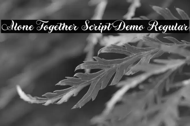 Alone Together Script Demo Regular Font examples