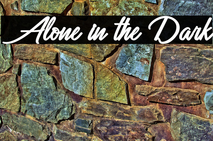 Alone in the Dark Example 3