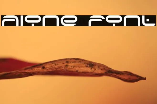 Alone Example 1