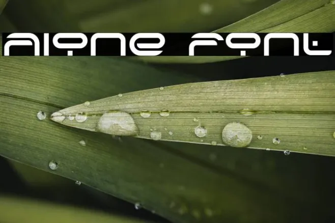 Alone Example 2