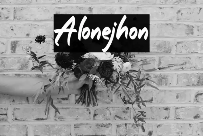 Alonejhon Font examples