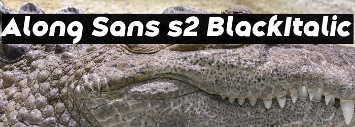 Along Sans s2 BlackItalic Example 1