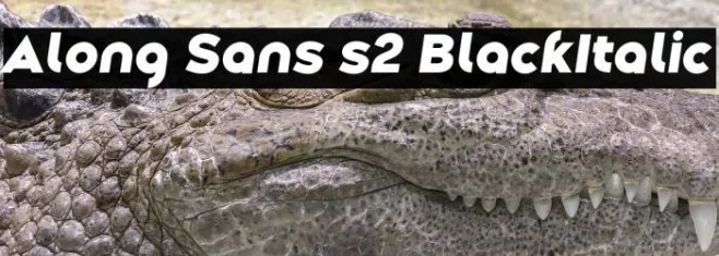 Along Sans s2 BlackItalic Example 1