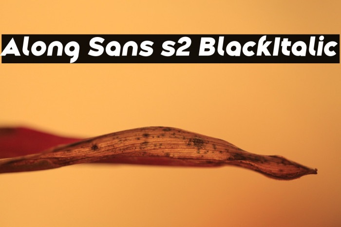 Along Sans s2 BlackItalic Example 3