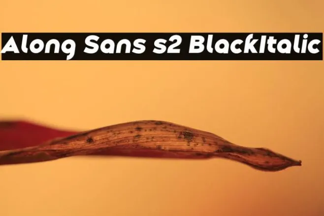 Along Sans s2 BlackItalic Example 3