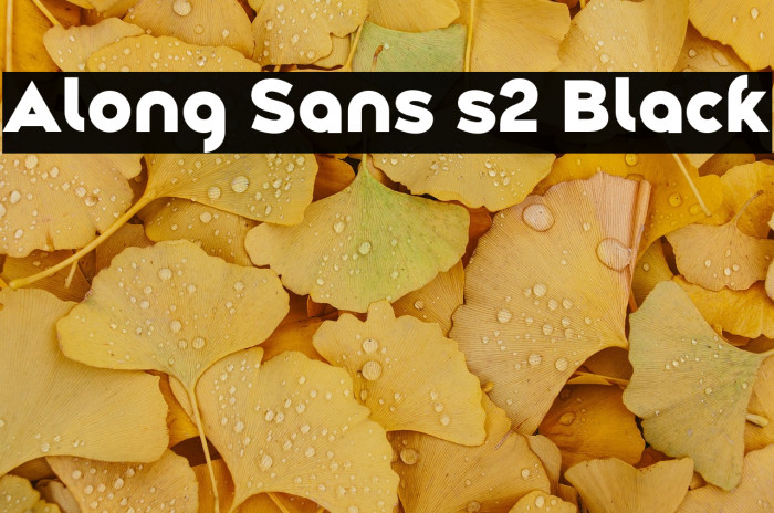 Along Sans s2 Black Example 1