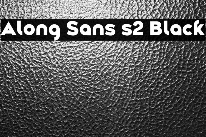 Along Sans s2 Black Example 2