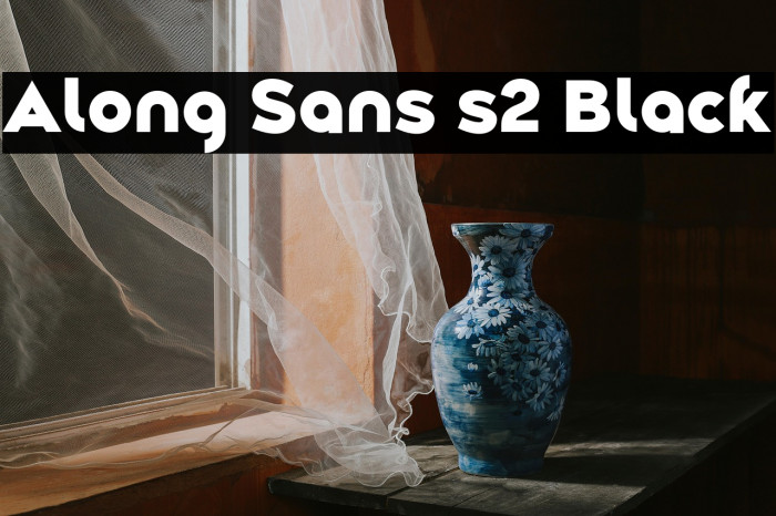 Along Sans s2 Black Example 3