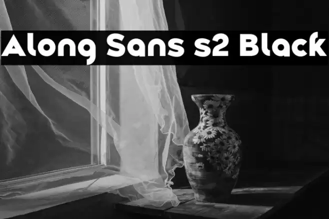 Along Sans s2 Black Font examples