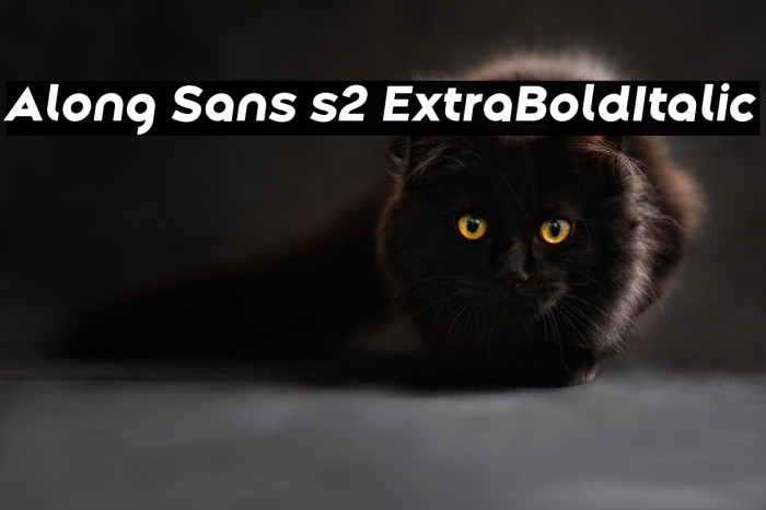 Along Sans s2 ExtraBoldItalic Example 1
