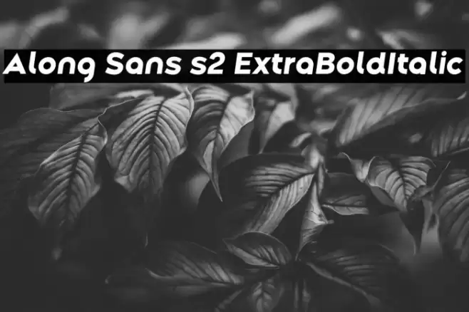 Along Sans s2 ExtraBoldItalic Font examples