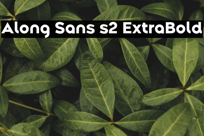 Along Sans s2 ExtraBold Example 1