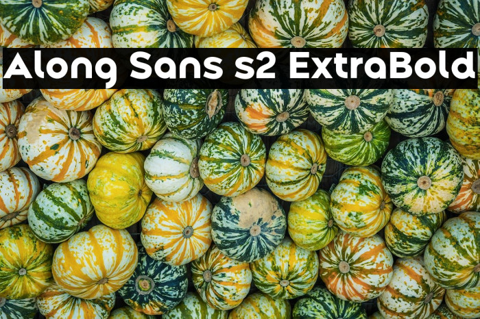 Along Sans s2 ExtraBold Example 2