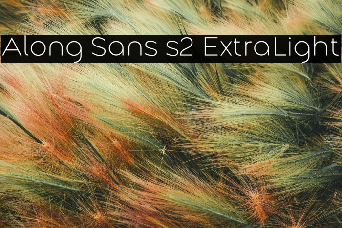 Along Sans s2 ExtraLight Example 3