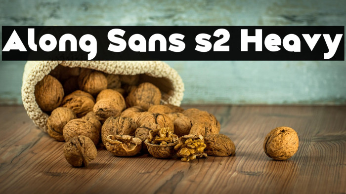 Along Sans s2 Heavy Example 1