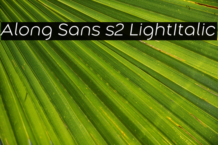 Along Sans s2 LightItalic Example 3