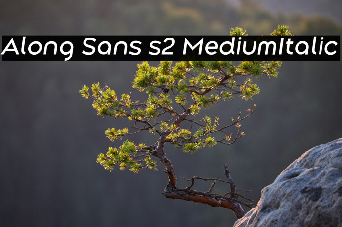 Along Sans s2 MediumItalic Example 3