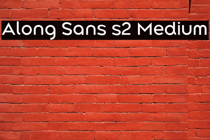 Along Sans s2 Medium Example 2