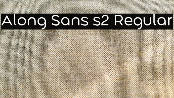 Along Sans s2 Regular Example 1
