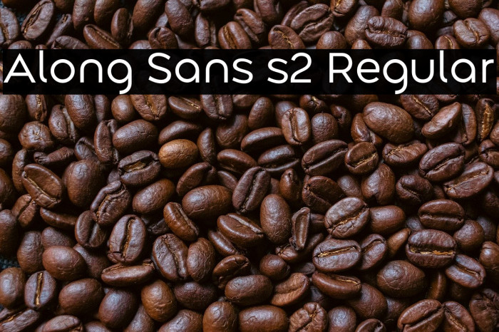 Along Sans s2 Regular Example 3
