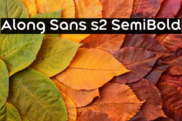 Along Sans s2 SemiBold Example 1