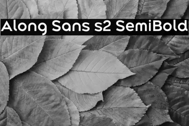 Along Sans s2 SemiBold Font examples