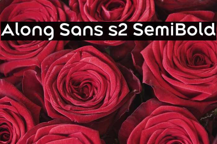 Along Sans s2 SemiBold Example 2