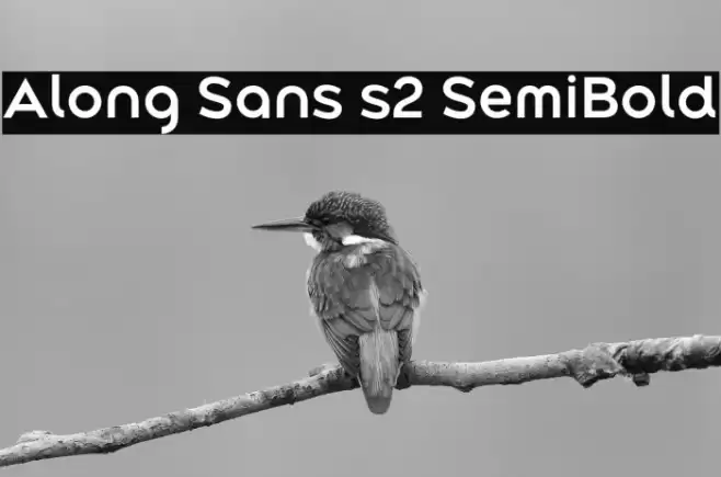 Along Sans s2 SemiBold Font examples