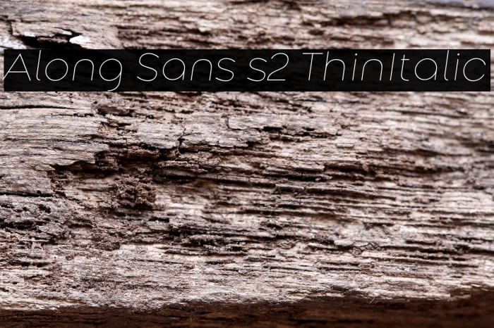 Along Sans s2 ThinItalic Example 1