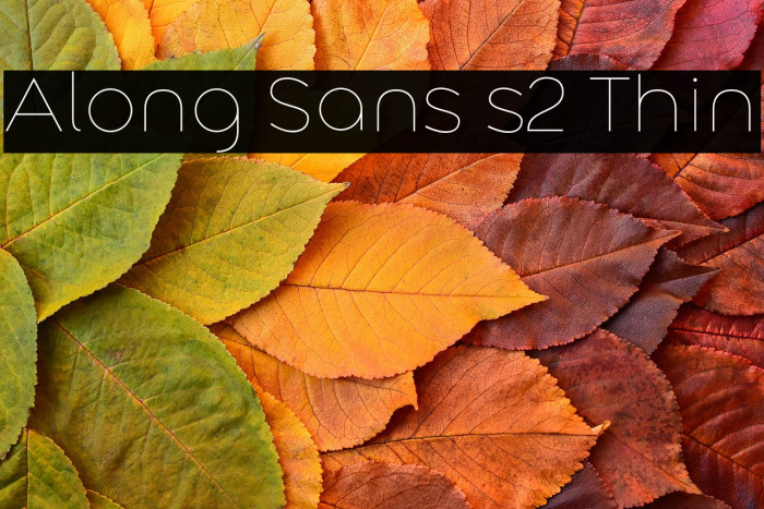 Along Sans s2 Thin Example 2