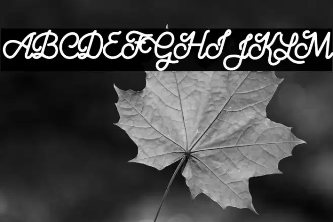 Aloritma Font examples