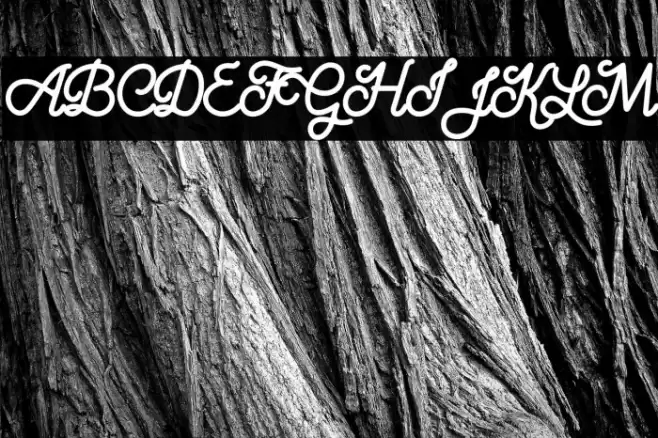 Aloritma Font examples