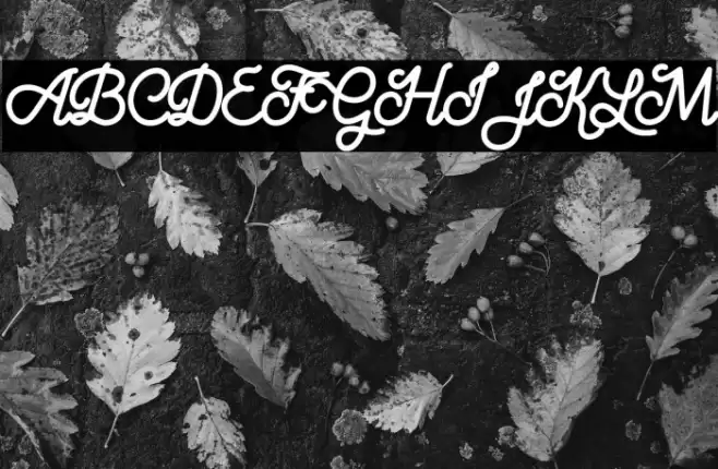 Aloritma Font examples