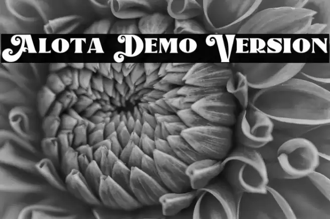 Alota Demo Version Font examples