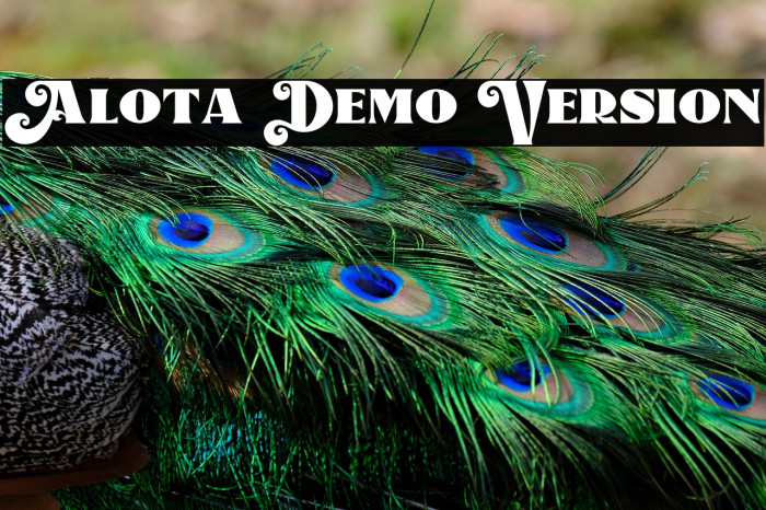 Alota Demo Version Example 2