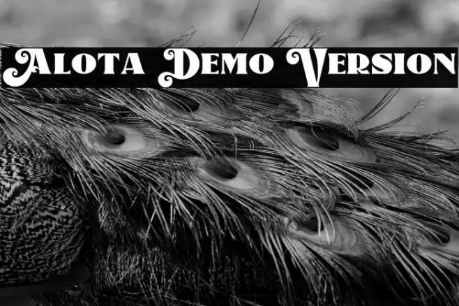 Alota Demo Version Font examples
